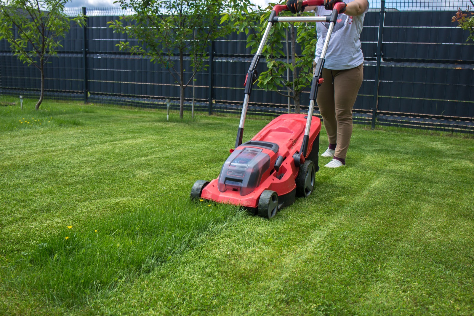 A person mowing a green suburban backyard lawn with a red cordless electric mower