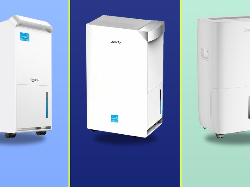 Best Whole-Room Dehumidifiers 2026: Top Picks for Large Spaces
