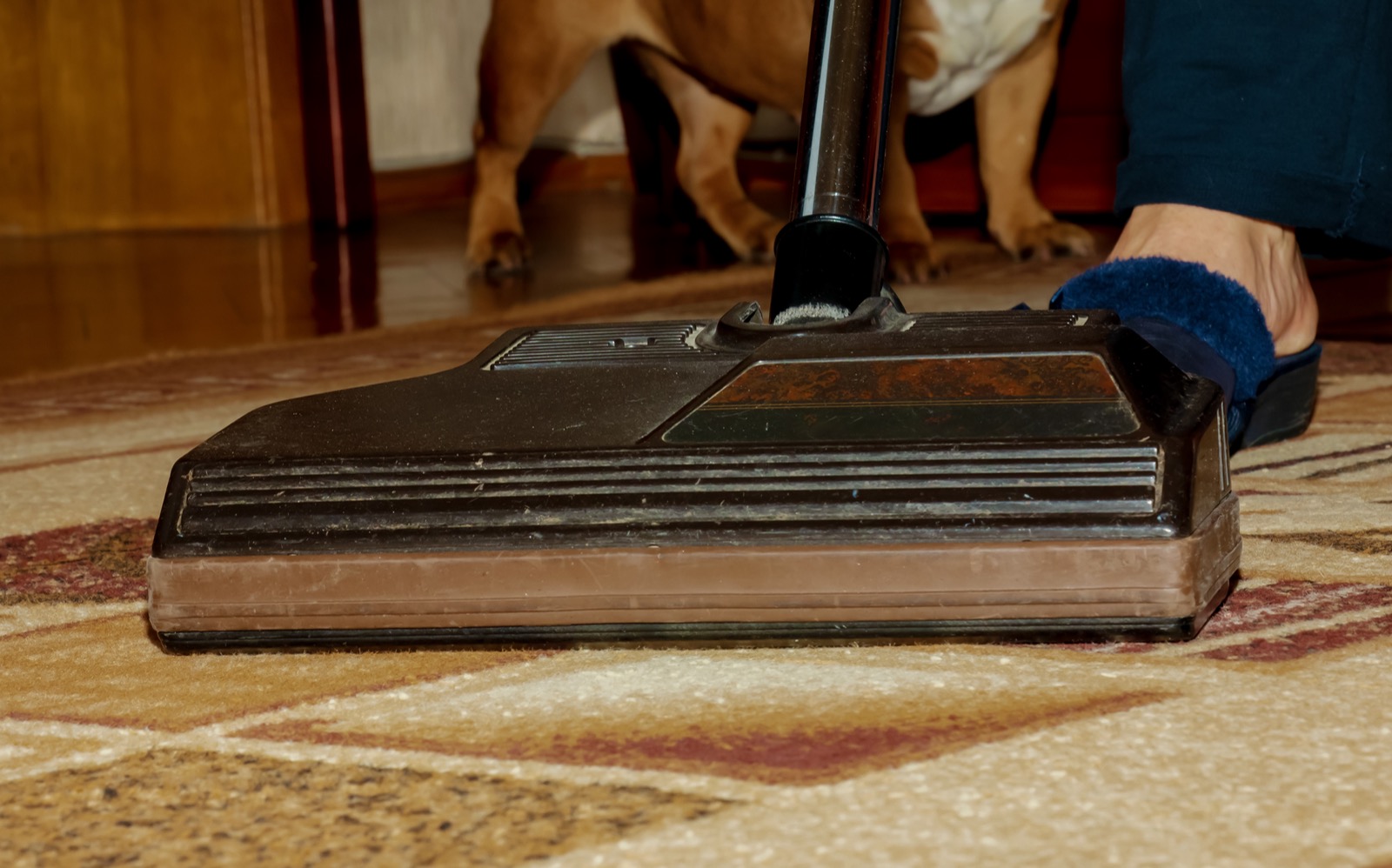 Close-up of an upright vacuum cleaner head cleaning a patterned carpet