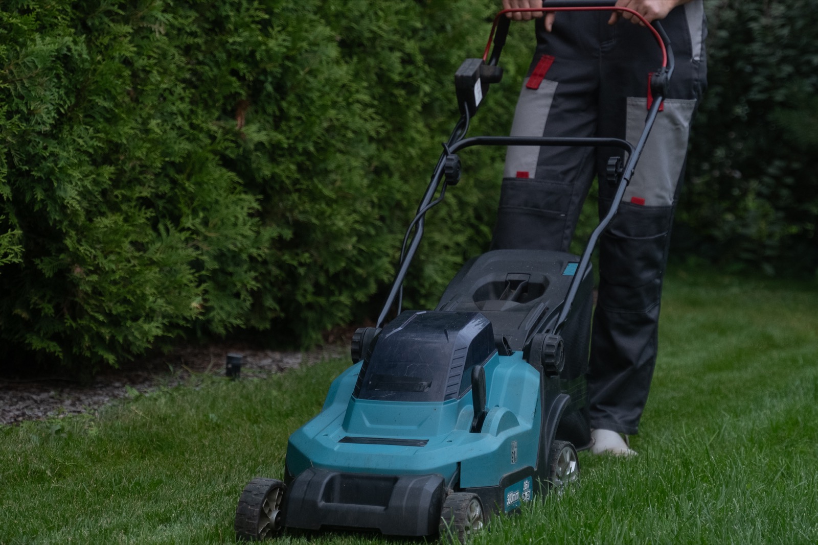 Cordless electric push mower with rear grass bag cutting a lawn